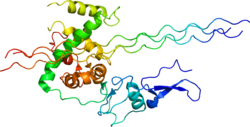Collagen Proteins 
