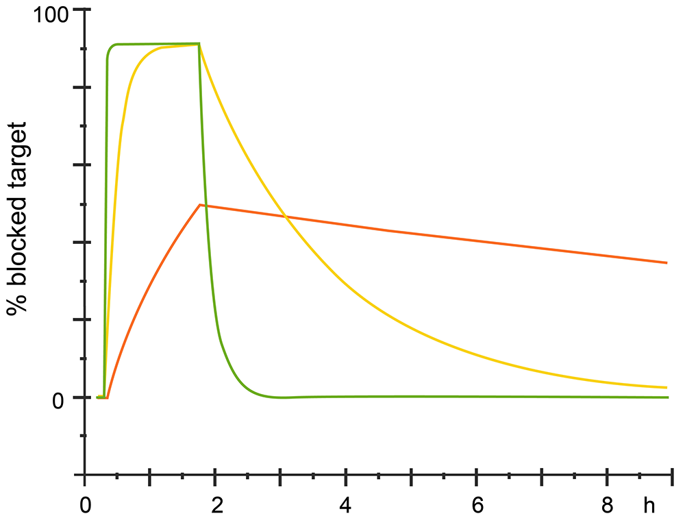 Different kinetics with same affinity