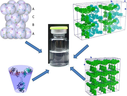 Strategies for high-concentration monoclonal antibody formulations: sphere packing, rectangular cell packing (single and double mAbs), and truncated cone model