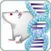 Antibodies