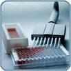 ELISA Kits