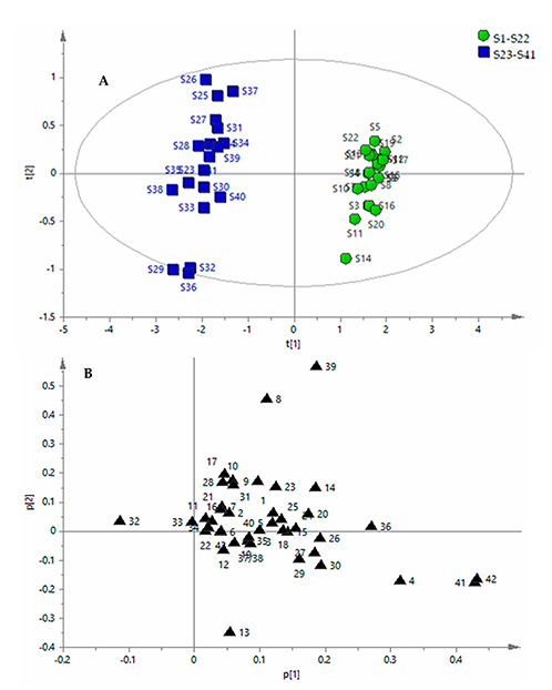 Quality evaluation of Apocyni veneti folium from different habitats and commercial herbs based on simultaneous determination of multiple bioactive constituents combined with multivariate statistical analysis.