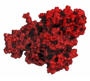 Plasminogen plasmin precursor protein. - Creative BioMart