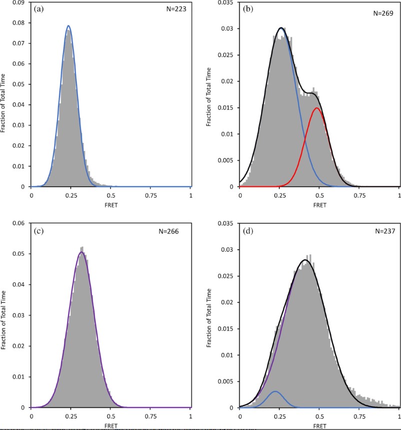 Fig2. smFRET distribution curves. Observed smFRET distribution for (a) DNA only, (b) DNA + GabR, (c)
    DNA + GabR + GABA, and (d) DNA + GabR + 13. Curves were fit by multimodal using Gaussian distributions.