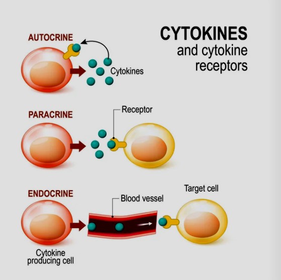 Other Cytokines & Receptors 2 - Creative BioMart