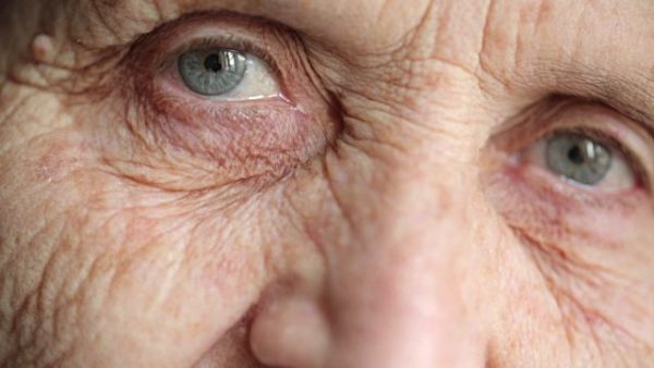 Key Proteins to Fight Aging Found