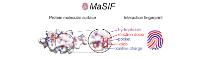 New Method to Predict Protein-Environment Interactions