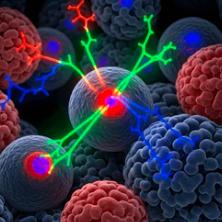 A New Receptor-Independent Signaling Mechanism-Nature Study Reveals an Alternative Pathway for Cellular Communication