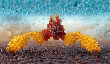 Advances in CAR-T Cell Therapy Research (I)