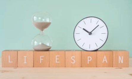 Can Lifespan Be “Read Out”?