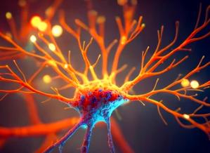 Distinct ALS Mutations Converge on a Common Pathway: TBK1 Deficiency Drives Inflammatory Pyroptosis and Motor Neuron Degeneration