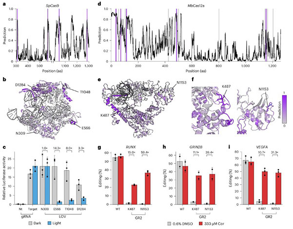 Fig 3. ProDomino confidently predicts potent opto- and chemogenetic Cas9 and Cas12a variants.