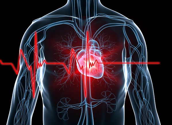 Recent Research Progress in Heart Disease (II)