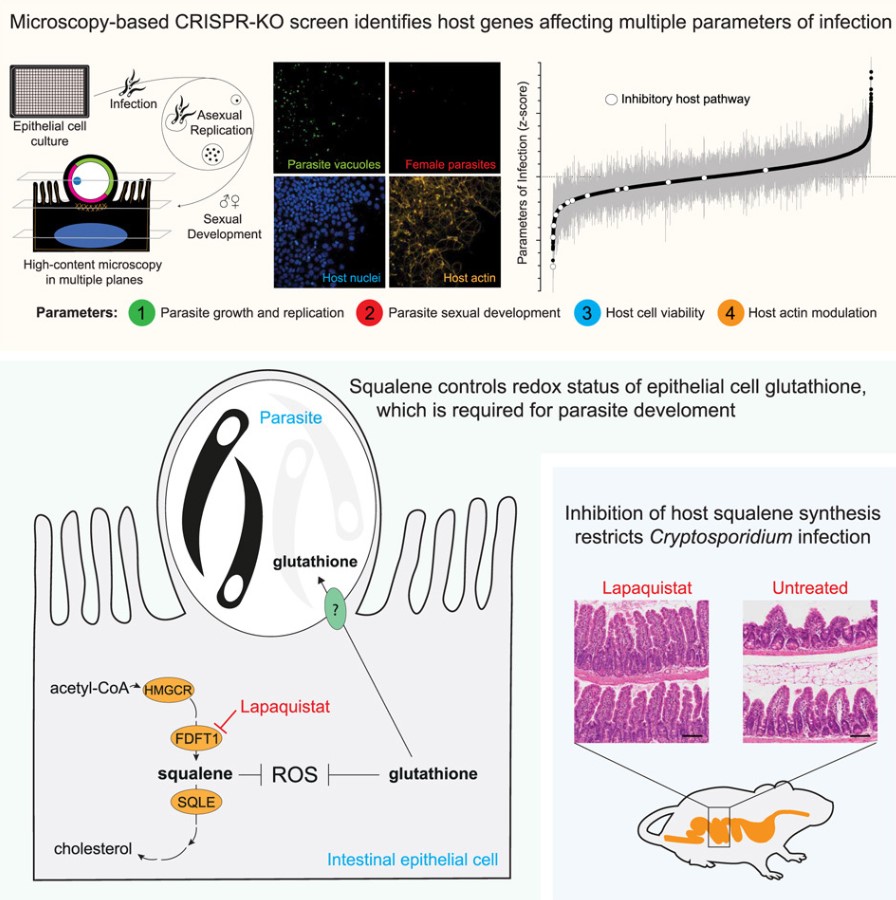 DOI: 10.1016/j.cell.2025.07.001