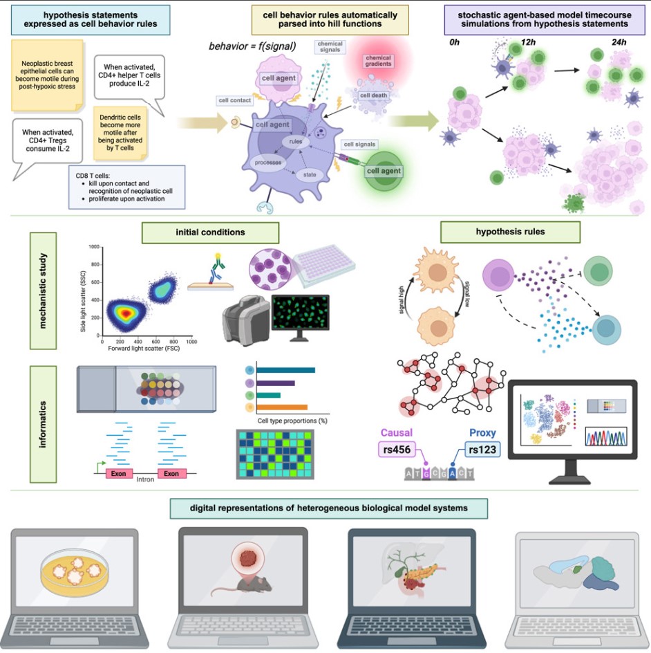 DOI: 10.1016/j.cell.2025.06.048