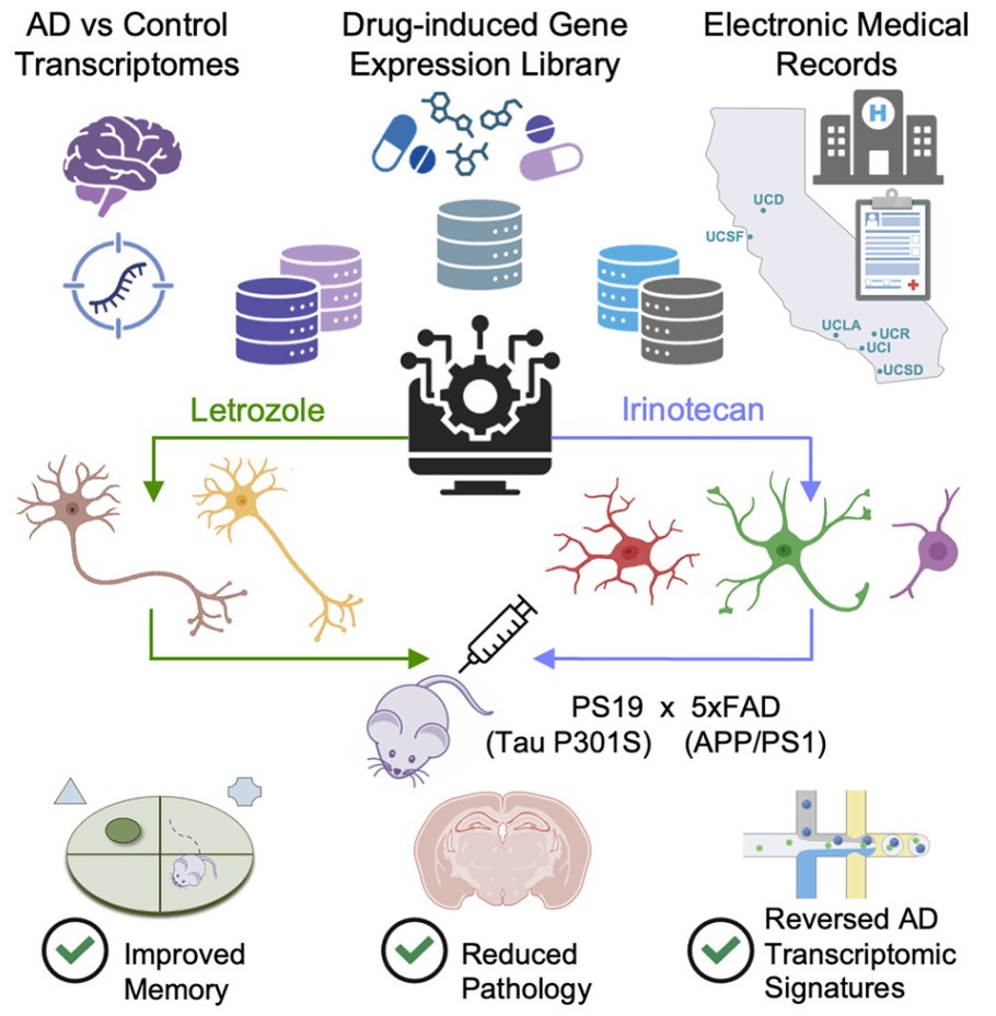DOI: 10.1016/j.cell.2025.06.035