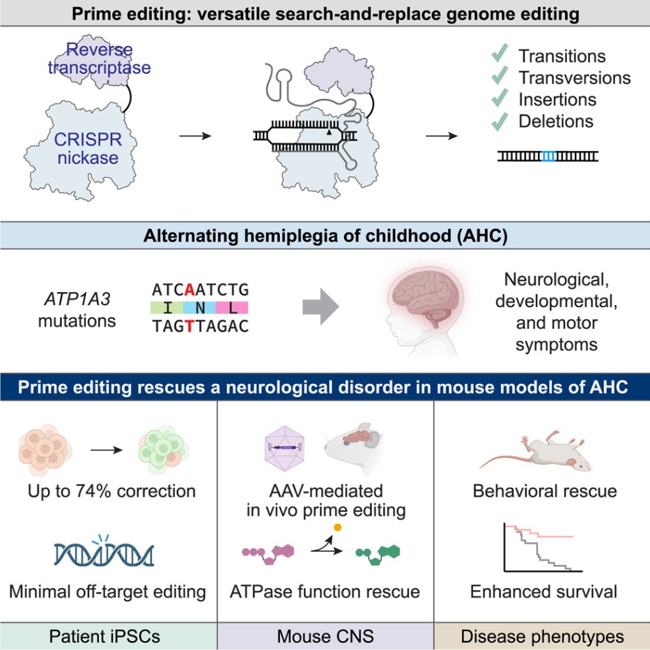 DOI: 10.1016/j.cell.2025.06.038