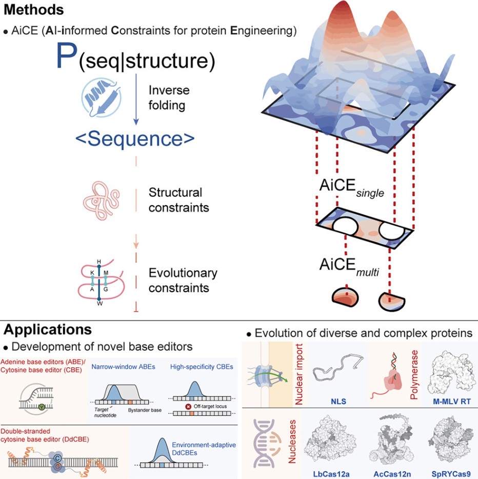 DOI: 10.1016/j.cell.2025.06.014