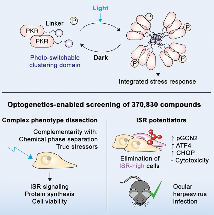 DOI: 10.1016/j.cell.2025.06.024