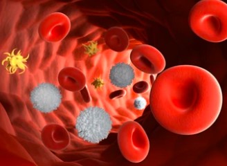 IL-4 May Help “Rejuvenate” the Aging Hematopoietic System