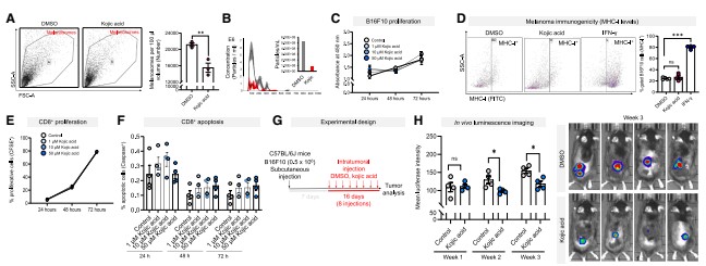 Figure 2: Inhibiting melanosome secretion from melanoma cells blocks tumor progression and induces CD8⁺ T cell infiltration.