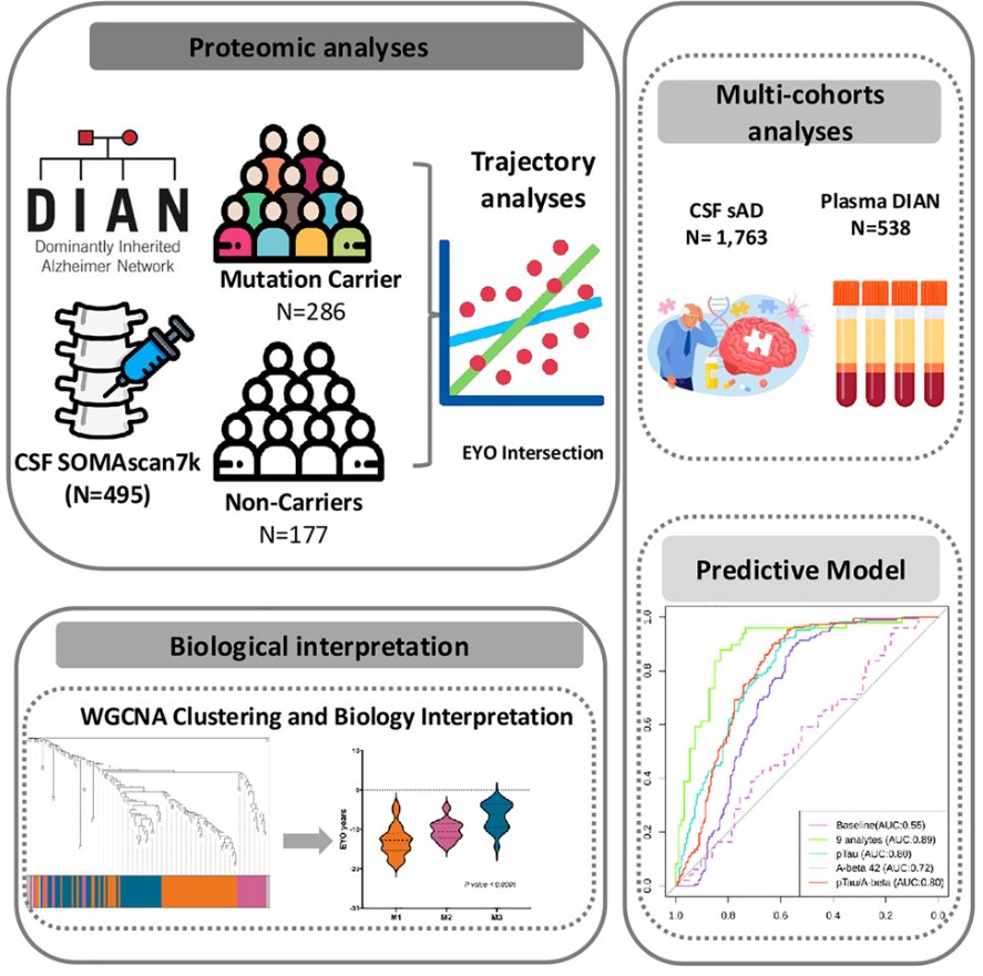 Fig2. Graphical abstract