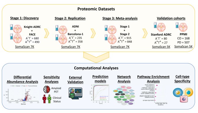 Fig4. Schematic of experimental and analytical workflow