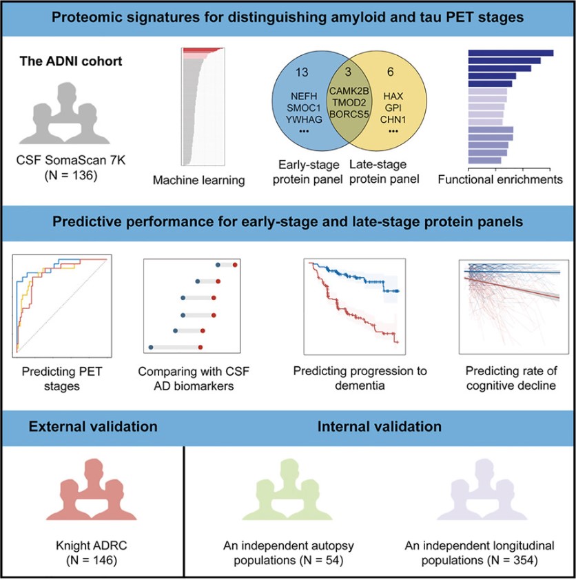 Fig5. Graphical abstract