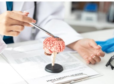Nature Medicine/Cell: Cerebrospinal Fluid Proteomics Brings New Hope for Precise Prediction of AD