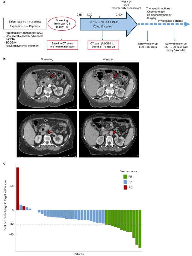 Fig1. Clinical activity of NP137 plus mFOLFIRINOX in patients with LAPC