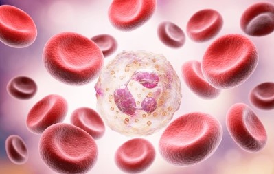 Partial CXCR4 agonists can block the generation of immunosuppressive neutrophils