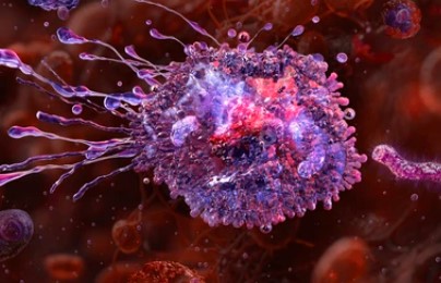 Removing the “Brake” CKAP4 in Macrophages May Restart the Healing Program