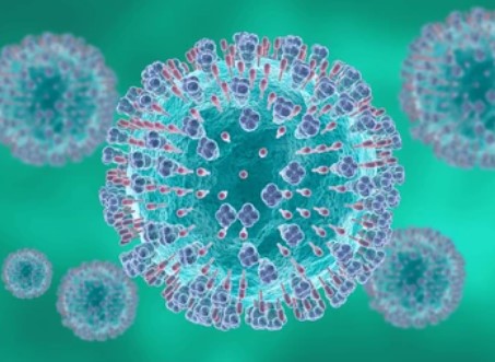 RSV Virus Warrants Attention Beyond Influenza: Decoding the Mechanism of F and G Proteins in Cell Entry