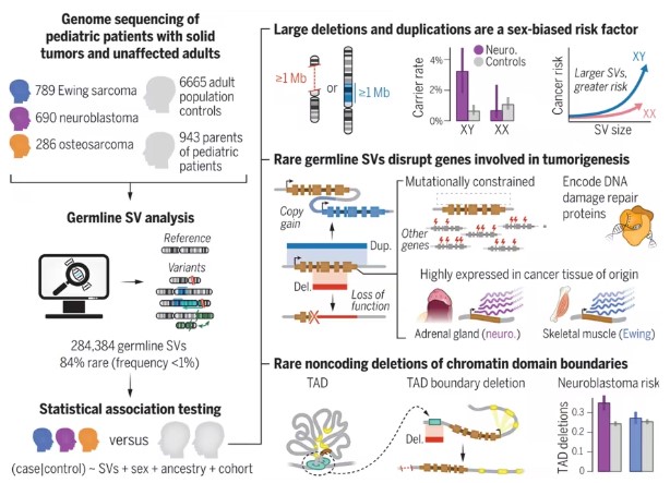 Rare Germline Structural Variants Are Risk Factors for Pediatric Solid Tumors