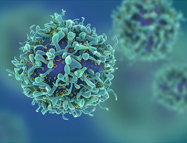 JEM: Prevent Exhaustion in Immune Cells Boosts Immunotherapy