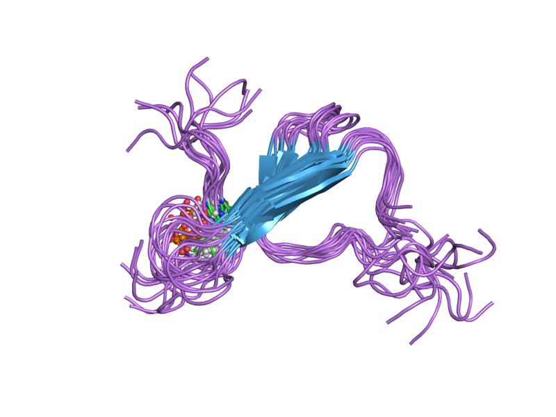 tau protein from wiki