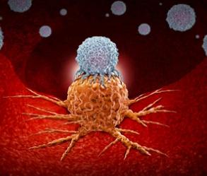Cysteine’s “One Carbon, Two Uses”: The Metabolic Switch That Determines CD8+ T Cell Proliferation and Cancer-Killing Power