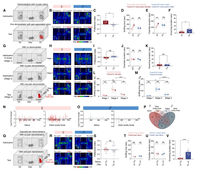 Figure 3: Olfactory information is critical for sex-specific behavioral responses
