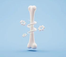 The NPY–IDO1–Kynurenine Axis Regulates the Pace of Fracture Repair