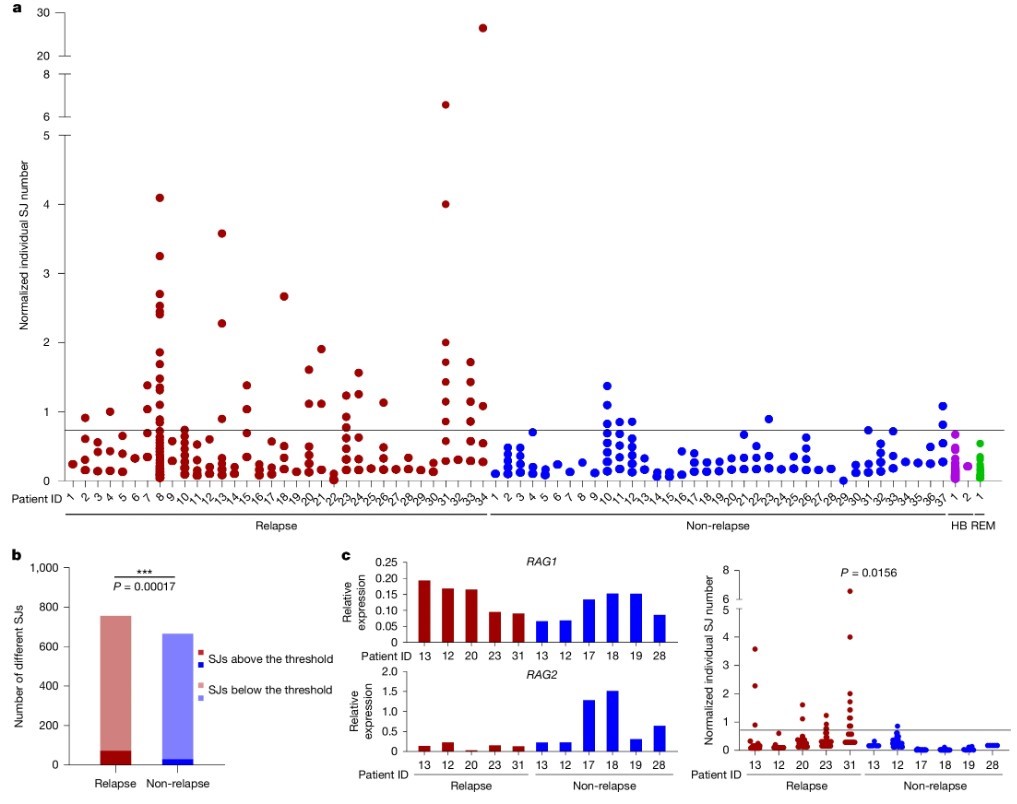Fig2. High SJ copy numbers at diagnosis correlate with subsequent relapse.