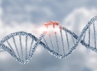 V(D)J Recombination "By-products" Can Self-replicate and Trigger Leukemia Relapse