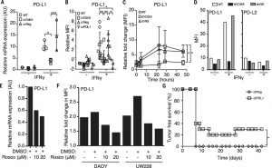 Fig. 2 Disruption of either Cdk5 gene expression or Cdk5 activity suppresses PD-L1 expression that cannot be overcome with IFN-γ stimulation in both human and murine MBs.