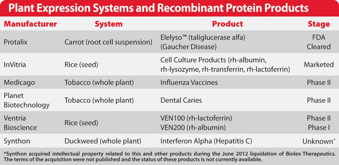 Plant expression systems and recombinant protein products