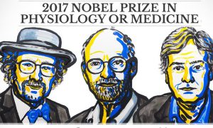 2017 Nobel Prize in Physiology or Medicine