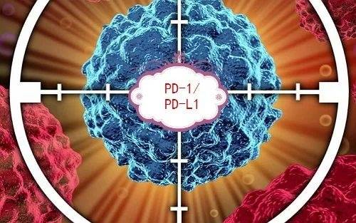 Immunotherapy with oncolytic virus combined with PD-1 inhibitor