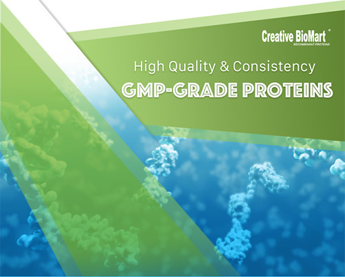 Gmp Grade Proteins