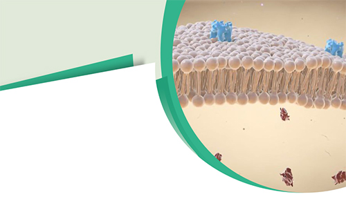 Membrane Proteins Expression Services Available