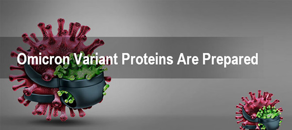 Sars Cov 2 Delta Variant Proteins