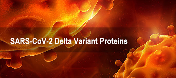 Sars Cov 2 Delta Variant Proteins