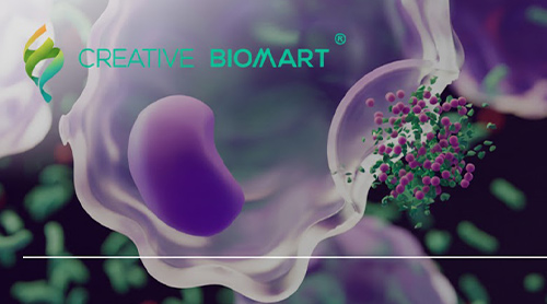 Unlock the Secrets of Cellular Communication with Creative BioMart's Premium Chemokine Proteins